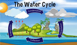 Water Cycle